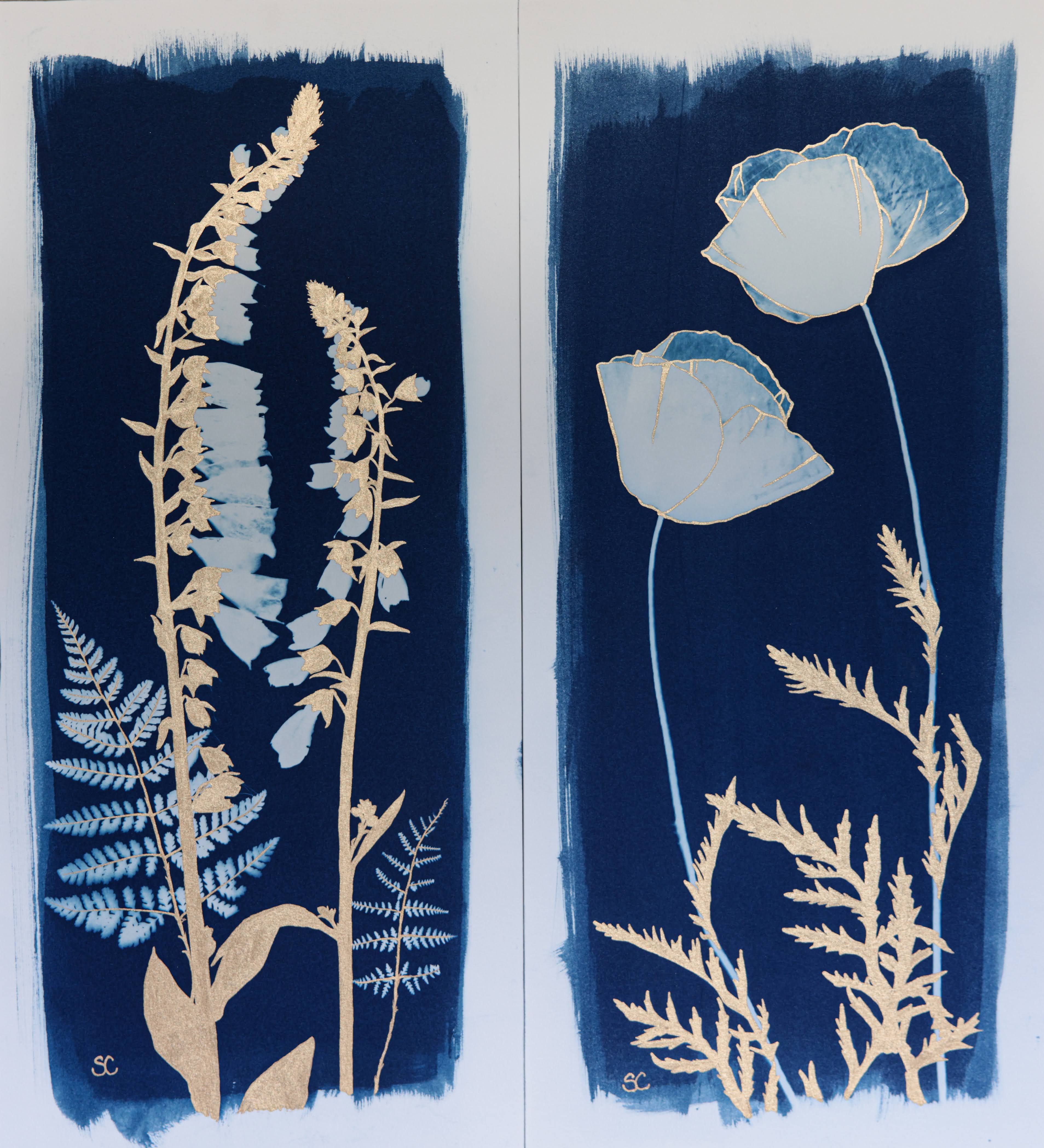 Foxgloves and Ferns and Papaver orientale 2024